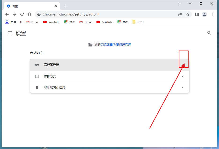 谷歌浏览器怎么开启自动填充功能？5